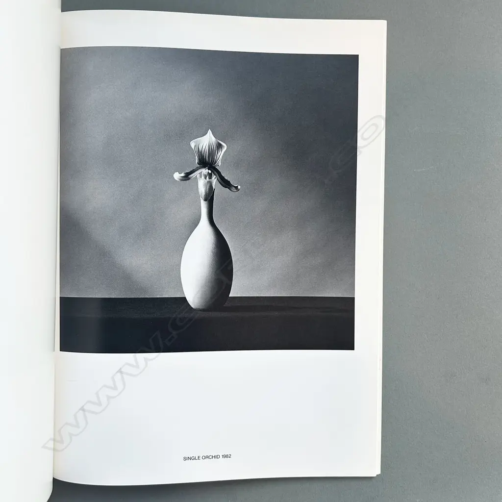 ROBERT MAPPLETHORPE: FLOWERS Image 1++